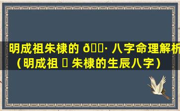 明成祖朱棣的 🌷 八字命理解析（明成祖 ☘ 朱棣的生辰八字）